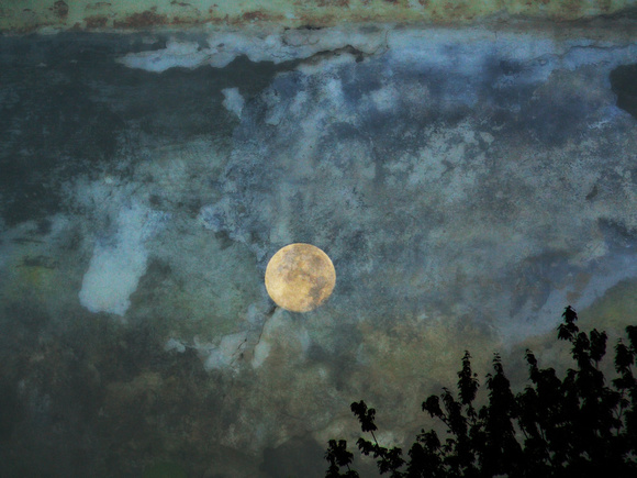 Moon Over Lake 24"x36"