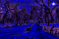 Central Park in SnowBlu Moon_Painting-2
