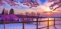 KyotoMaine_WinterSpringSunset