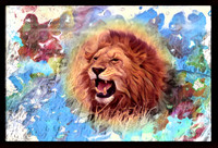 LionRoaring_focalPoint_008-2